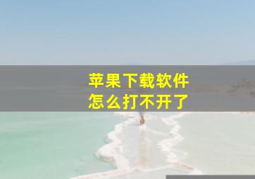 苹果下载软件怎么打不开了