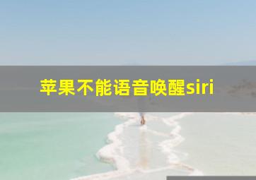 苹果不能语音唤醒siri