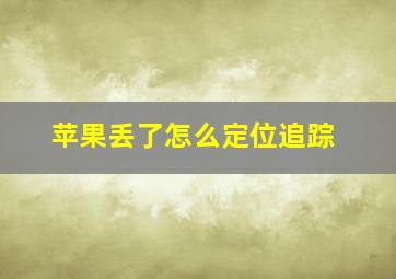 苹果丢了怎么定位追踪