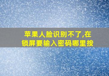 苹果人脸识别不了,在锁屏要输入密码哪里按