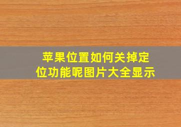 苹果位置如何关掉定位功能呢图片大全显示