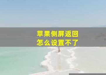 苹果侧屏返回怎么设置不了