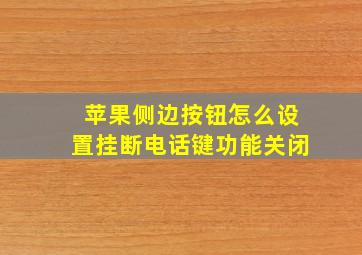 苹果侧边按钮怎么设置挂断电话键功能关闭