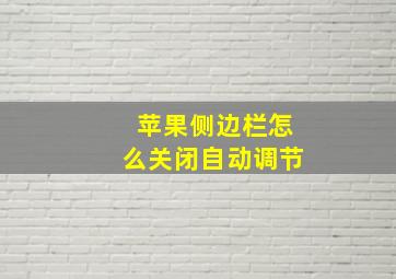 苹果侧边栏怎么关闭自动调节