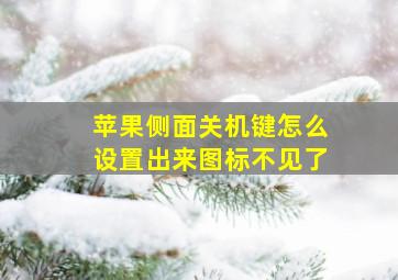 苹果侧面关机键怎么设置出来图标不见了