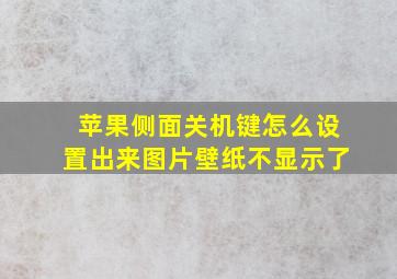 苹果侧面关机键怎么设置出来图片壁纸不显示了