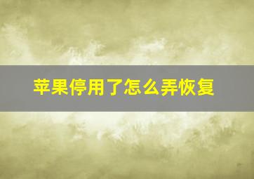 苹果停用了怎么弄恢复