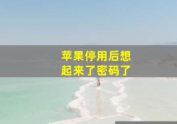 苹果停用后想起来了密码了