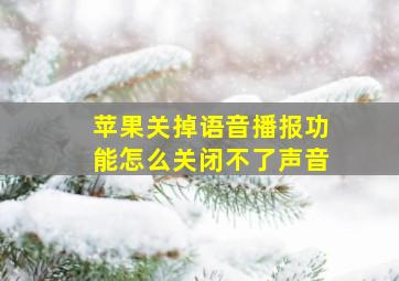 苹果关掉语音播报功能怎么关闭不了声音