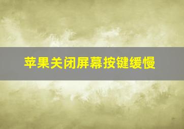 苹果关闭屏幕按键缓慢