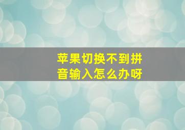 苹果切换不到拼音输入怎么办呀