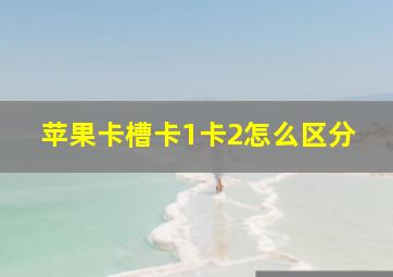 苹果卡槽卡1卡2怎么区分