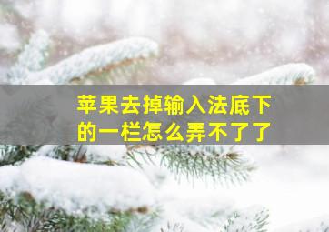 苹果去掉输入法底下的一栏怎么弄不了了