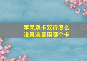 苹果双卡双待怎么设置流量用哪个卡