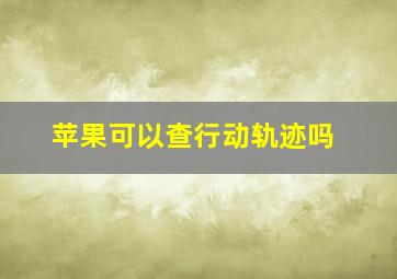 苹果可以查行动轨迹吗