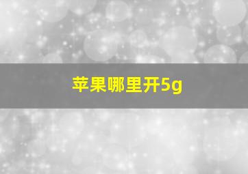 苹果哪里开5g