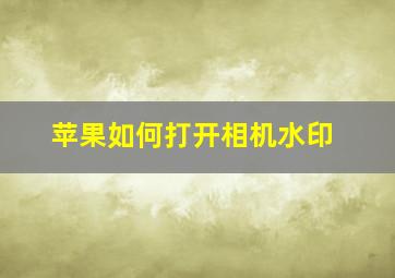 苹果如何打开相机水印