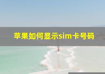 苹果如何显示sim卡号码