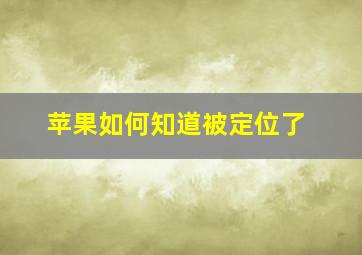 苹果如何知道被定位了