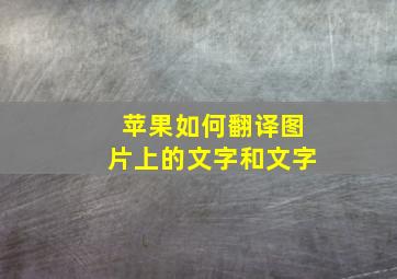 苹果如何翻译图片上的文字和文字