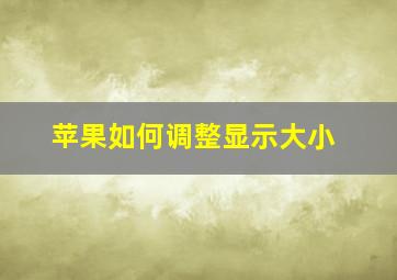 苹果如何调整显示大小