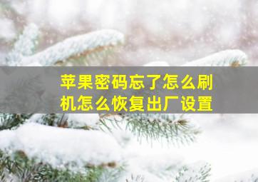 苹果密码忘了怎么刷机怎么恢复出厂设置