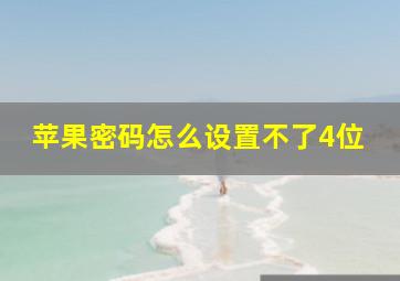 苹果密码怎么设置不了4位