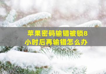 苹果密码输错被锁8小时后再输错怎么办