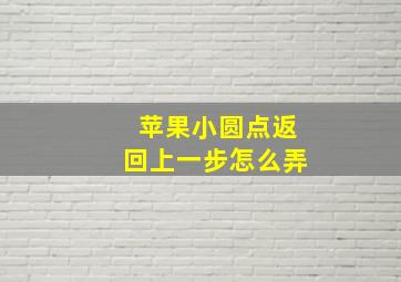 苹果小圆点返回上一步怎么弄