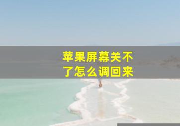 苹果屏幕关不了怎么调回来