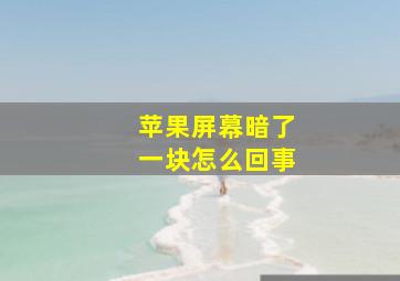 苹果屏幕暗了一块怎么回事