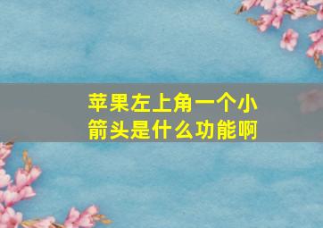 苹果左上角一个小箭头是什么功能啊