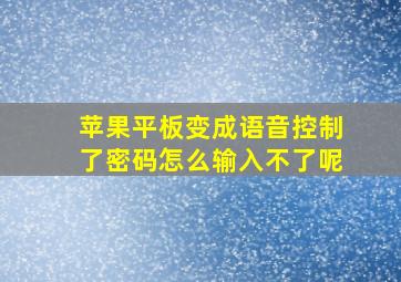 苹果平板变成语音控制了密码怎么输入不了呢