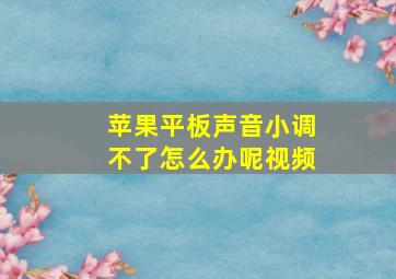 苹果平板声音小调不了怎么办呢视频