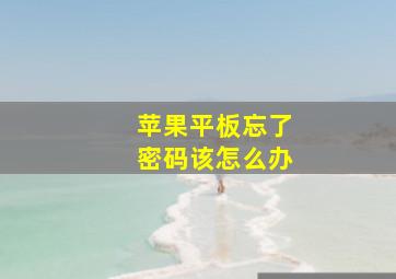 苹果平板忘了密码该怎么办