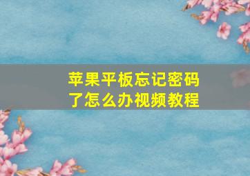 苹果平板忘记密码了怎么办视频教程