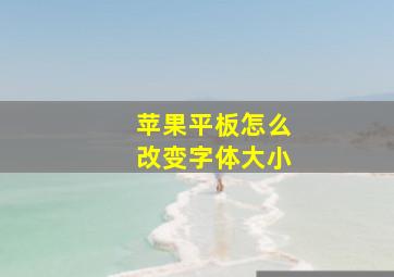 苹果平板怎么改变字体大小