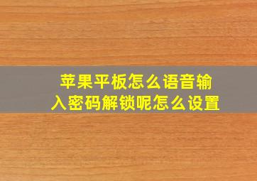 苹果平板怎么语音输入密码解锁呢怎么设置