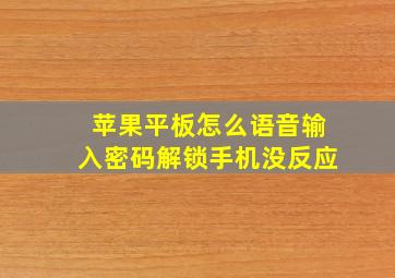 苹果平板怎么语音输入密码解锁手机没反应