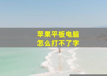 苹果平板电脑怎么打不了字