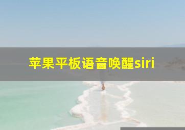 苹果平板语音唤醒siri