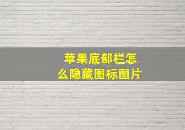 苹果底部栏怎么隐藏图标图片