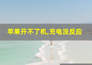 苹果开不了机,充电没反应