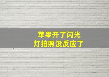 苹果开了闪光灯拍照没反应了