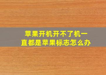 苹果开机开不了机一直都是苹果标志怎么办