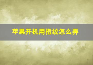 苹果开机用指纹怎么弄