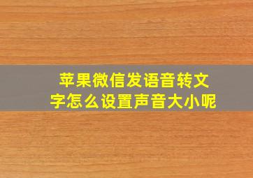 苹果微信发语音转文字怎么设置声音大小呢