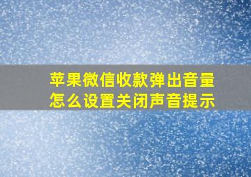 苹果微信收款弹出音量怎么设置关闭声音提示