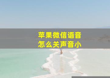 苹果微信语音怎么关声音小