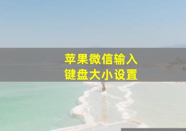 苹果微信输入键盘大小设置